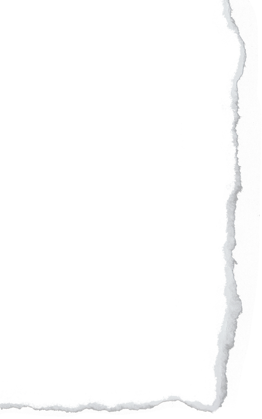 Ripped Paper Line Texture